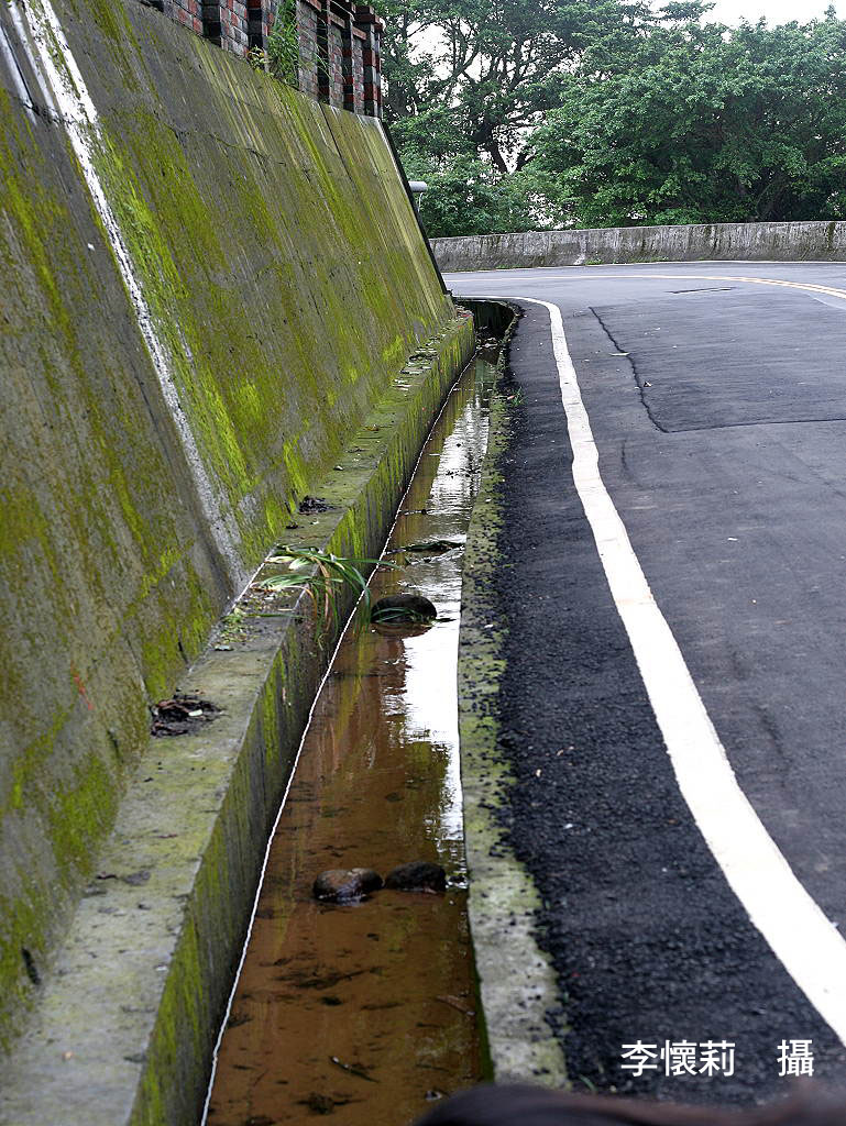 發現後山-蛙蛙世界學習網：教學資源/ 影像下載-蛙類的棲地影像-水溝, image size:769x1024